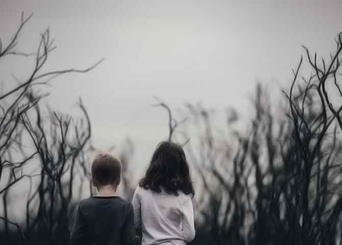 支付宝担保的器测压文章